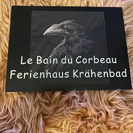 Holiday home Le Bain Du Corbeau - Schwarzwald-villa *