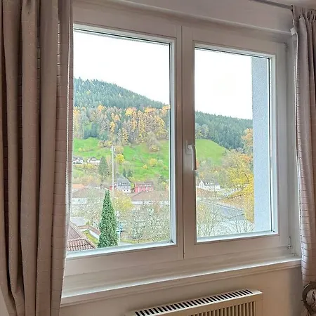 Feriehus Haus Le Bain Du Corbeau ! Gratis-eintritt Zu 80 Touristischen Highlights Ab 2 Naechten ! Bahnfahren Gratis ! Alpirsbach