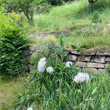 Holiday home Le Bain Du Corbeau - Schwarzwald-villa Alpirsbach