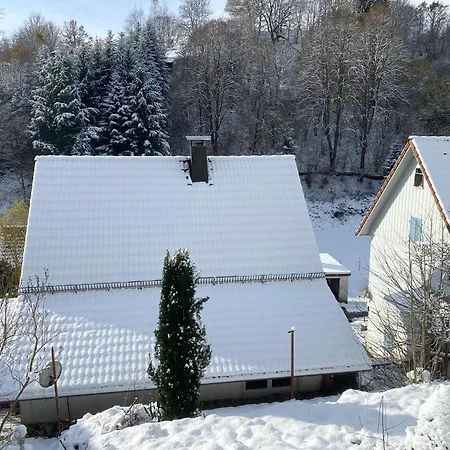 Le Bain Du Corbeau - Schwarzwald-villa Alpirsbach
