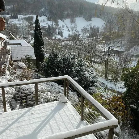 Holiday home Le Bain Du Corbeau - Schwarzwald-villa *