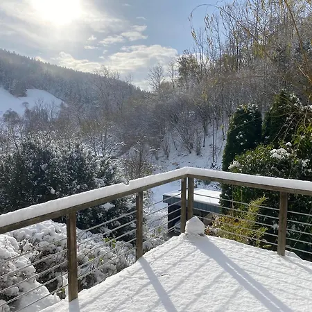 Le Bain Du Corbeau - Schwarzwald-villa *
