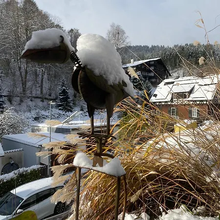 Le Bain Du Corbeau - Schwarzwald-villa Holiday home