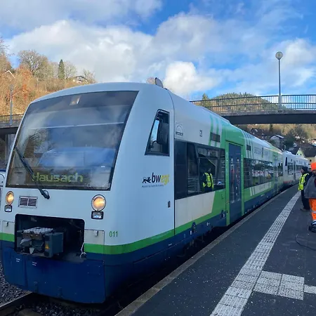 Le Bain Du Corbeau - Schwarzwaldplus-villa Mit über 80 Gratis-attraktionen Сasa de vacaciones *